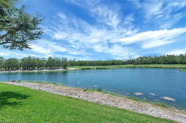 Water view