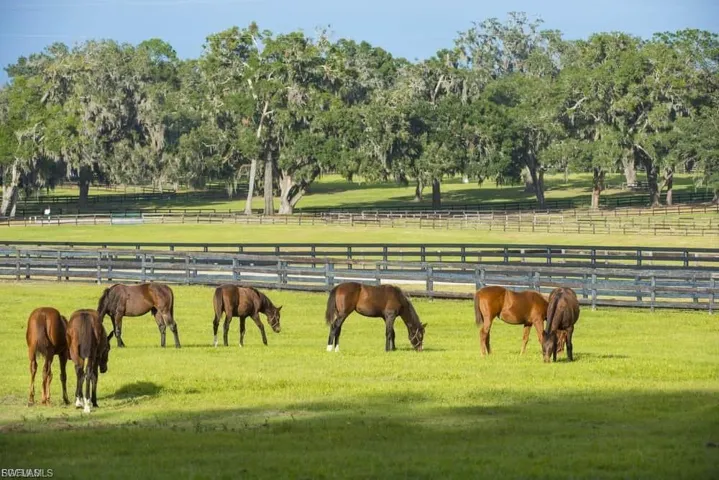 View of indoor horse riding arena