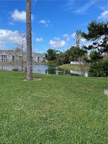 community pond