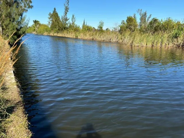 Water view