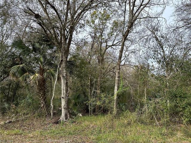 1317 CANTON AVE, LEHIGH ACRES FL 33972