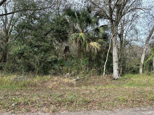 1317 CANTON AVE, LEHIGH ACRES FL 33972
