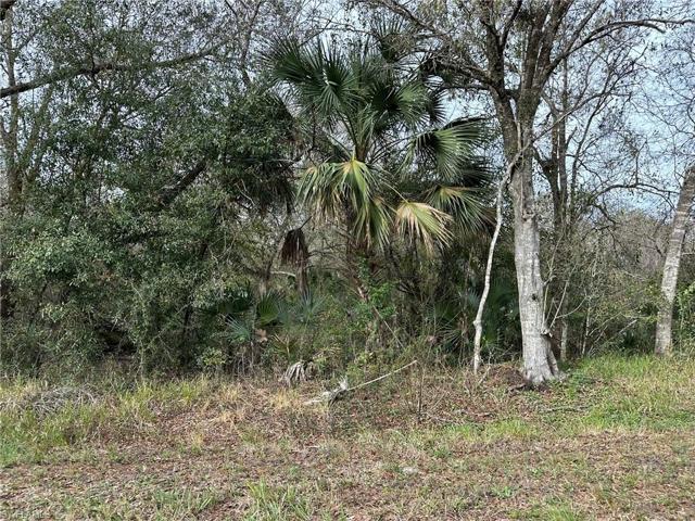 1317 CANTON AVE, LEHIGH ACRES FL 33972