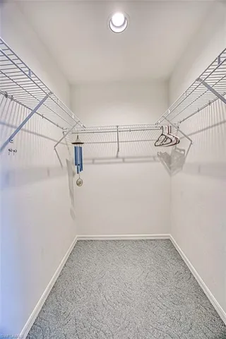 Spacious closet with carpet