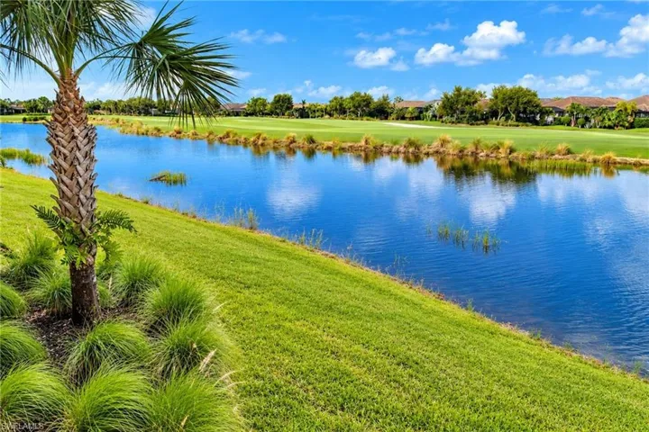Lush green landscaping with a mature palm, water feature, and distant golf course