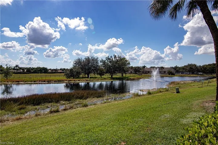 Water view