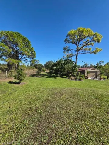 View of grassy yard