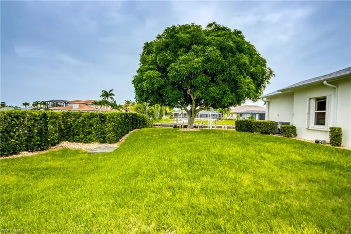 View of yard AND MATURE MANGO TREE !!