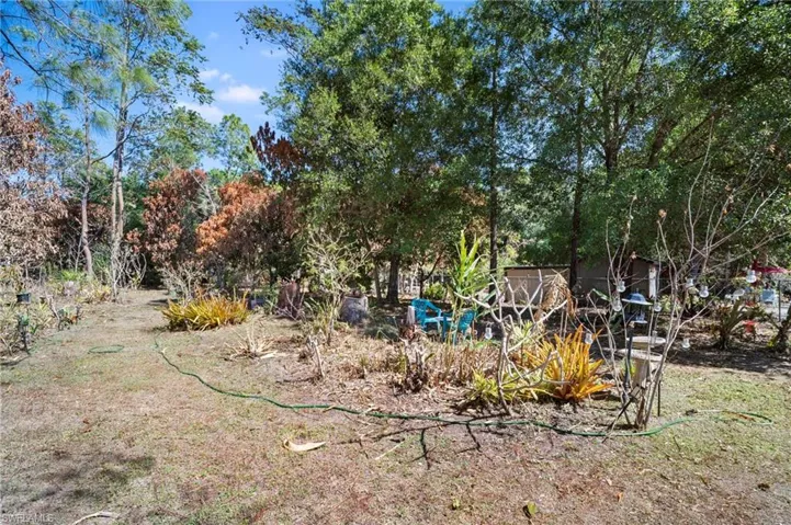 View of yard featuring view of scattered trees