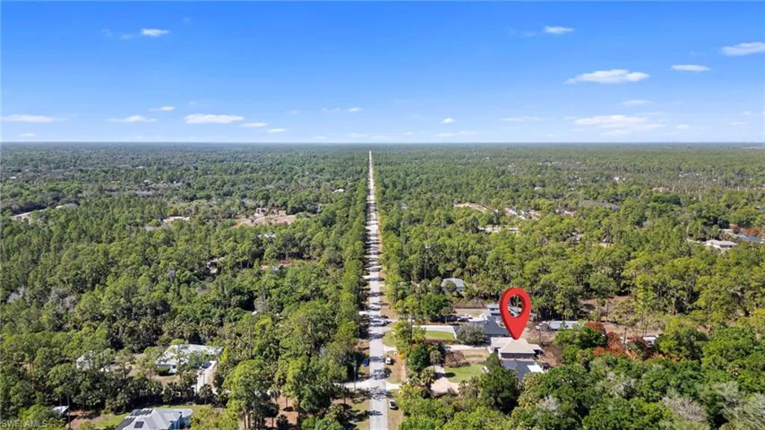 Aerial view of a forest