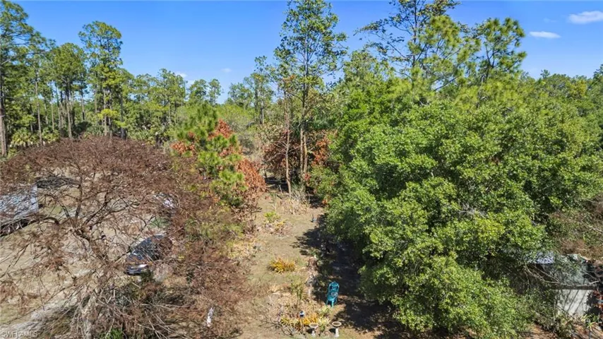 View of wooded area