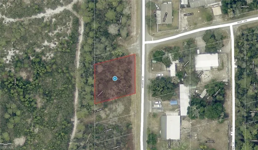 15-17-28-0200-009-00100  Georgia  ST, Paisley, FL 32767