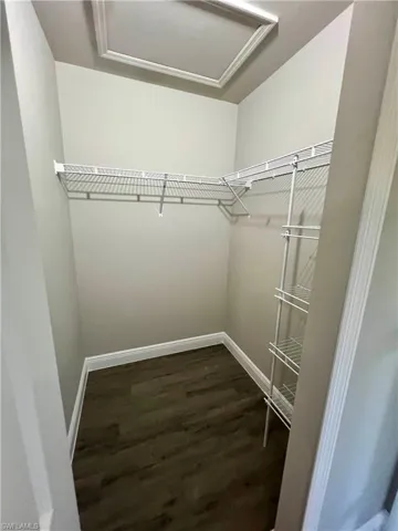 Spacious closet featuring dark hardwood / wood-style floors