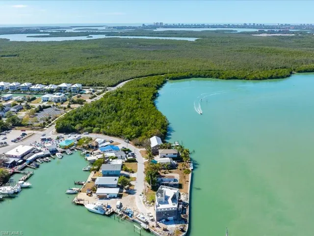 Bird's eye view of a large body of water and a forest