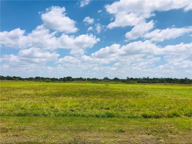 Large Cleared Lot
