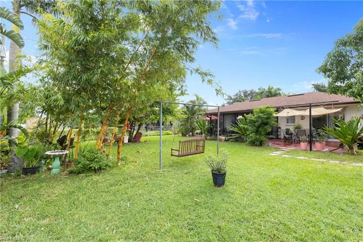 Lush Back Yard