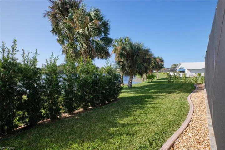 View of Backyard