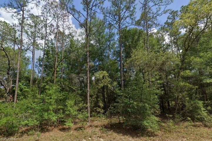 8957 N BENGAL  WAY, CITRUS SPRINGS, FL 34434
