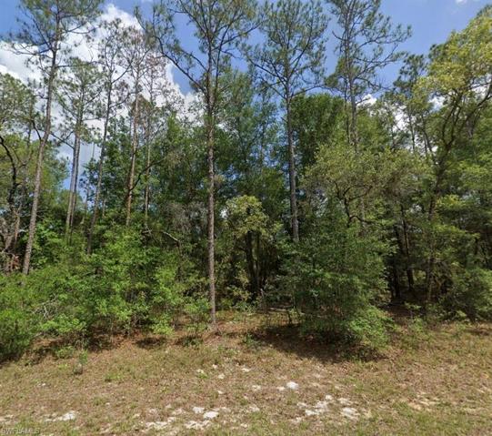 8957 N BENGAL  WAY, CITRUS SPRINGS, FL 34434