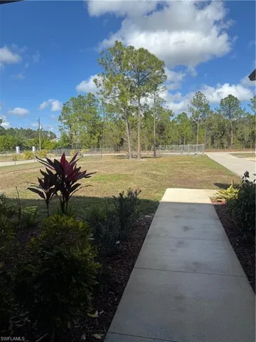 View of green lawn