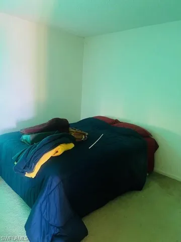 Bedroom with light colored carpet