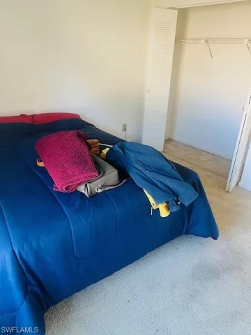 Carpeted bedroom featuring a closet