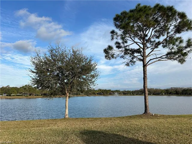 Water view