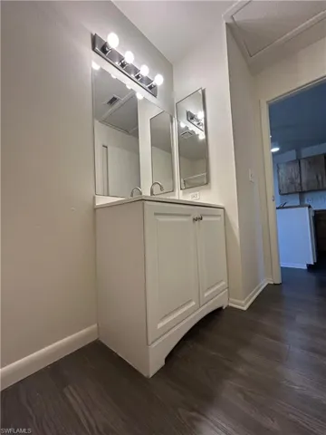 Bathroom with dark wood-style flooring and vanity
