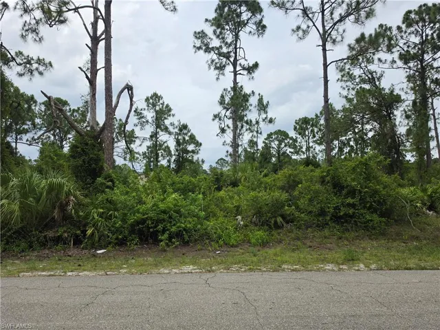 3832 17th St W, Lehigh Acres, Florida 33971