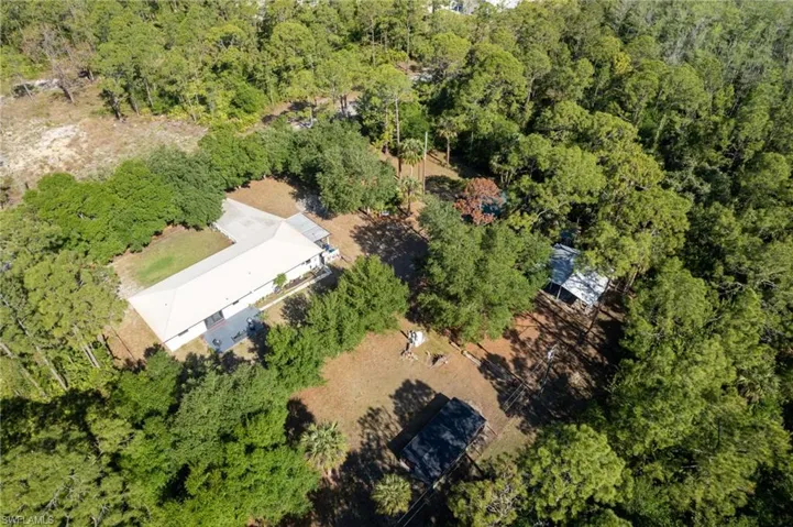 Drone / aerial view featuring a view of trees