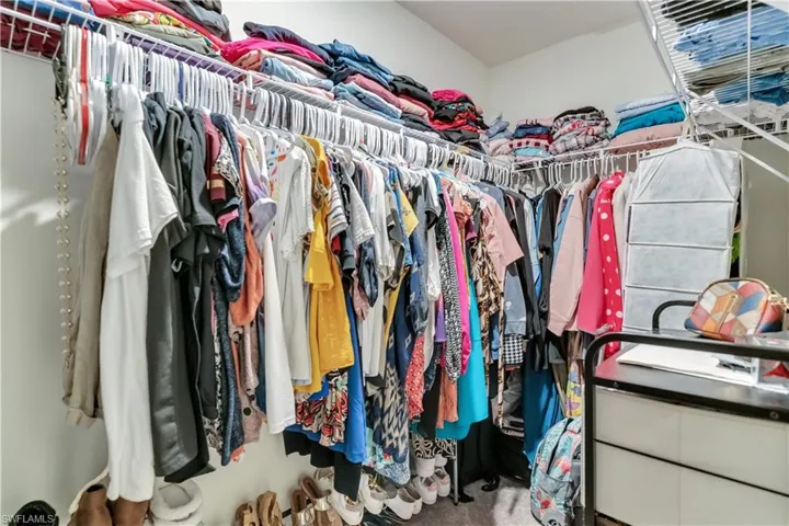 Spacious closet with carpet