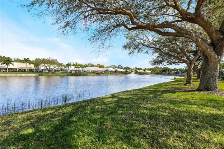 Lake view surrounded by treed landscape