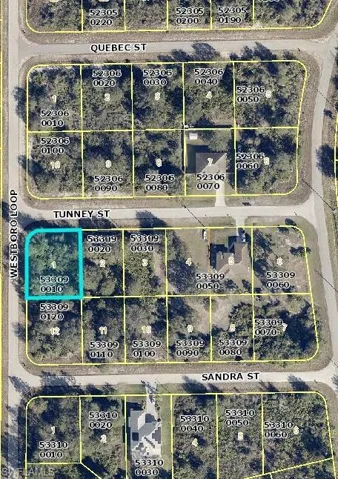 719 Tunney St, Lehigh Acres Fl 33972