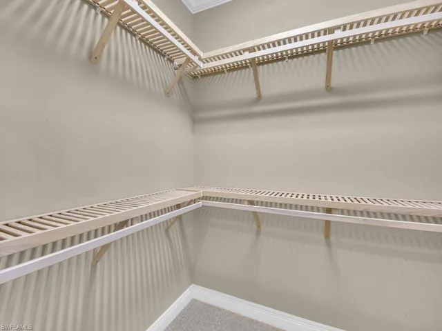 Master Bedroom Spacious closet featuring carpet flooring