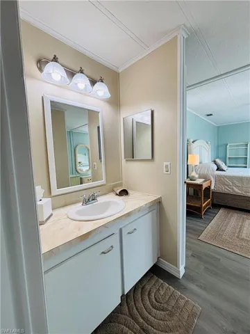 Bathroom featuring vanity, connected bathroom, crown molding, and dark wood-type flooring