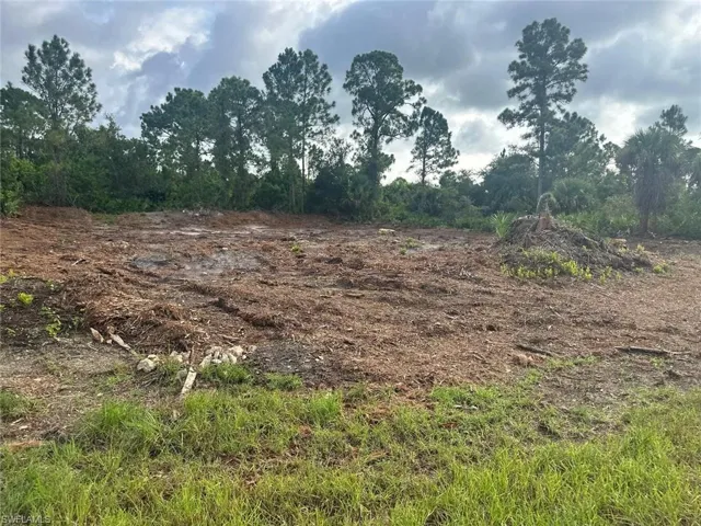 View of local wilderness