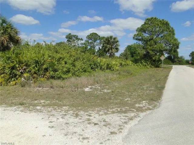 View of undeveloped land