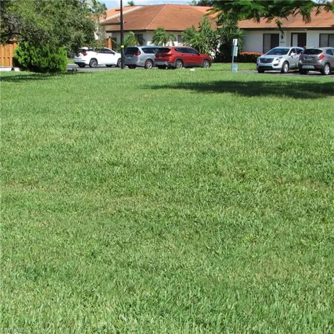 Expansive Green Area