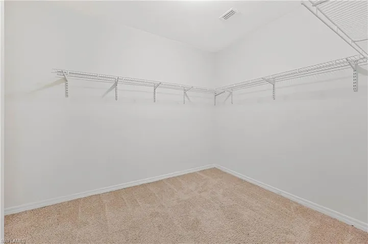 Spacious closet featuring carpet floors