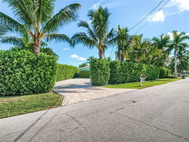 Mature Privacy Hedge Entrance