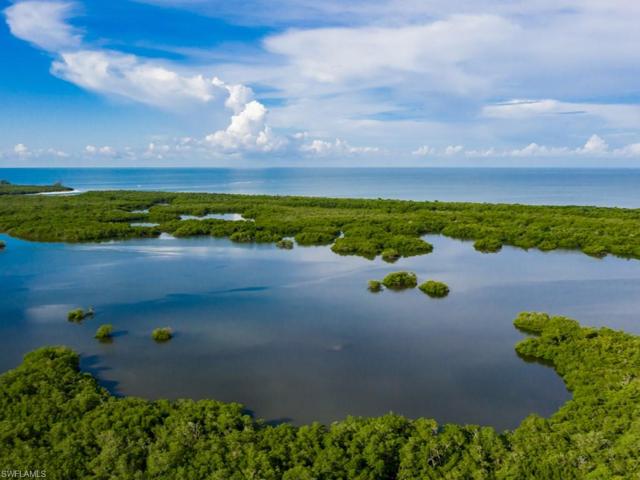 1001 Arbor Lake DR # 306, NAPLES FL 34110