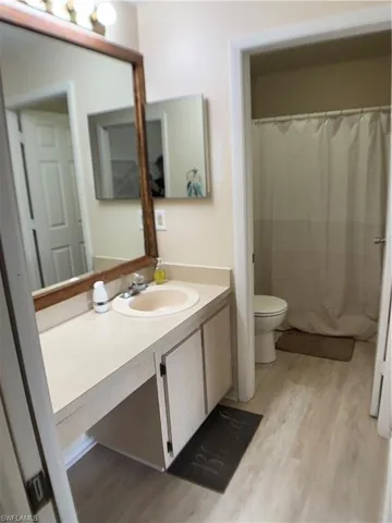 Bathroom featuring vanity, light wood-type flooring, and curtained shower