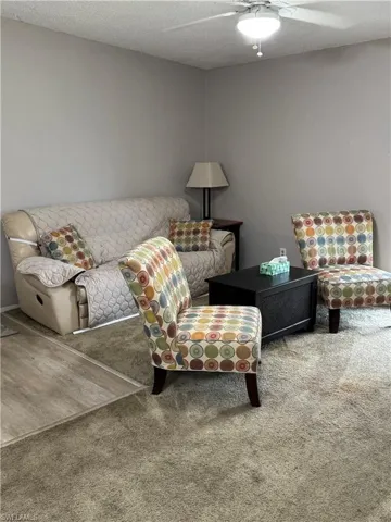 Living area featuring a textured ceiling and carpet floors