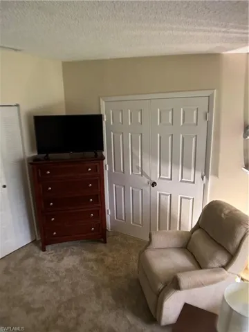Sitting room with carpet floors and a textured ceiling