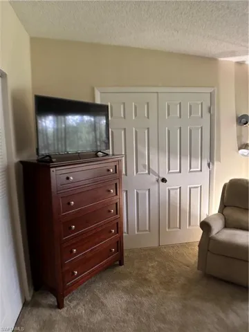 Living area with a textured ceiling and dark carpet