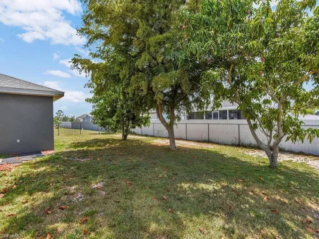Fenced-In Backyard