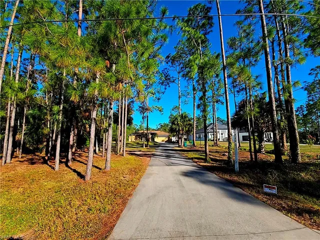 View of Driveway