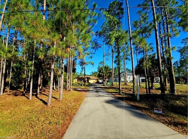 View of Driveway