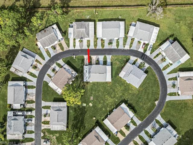 Aerial View of Dawn Flower