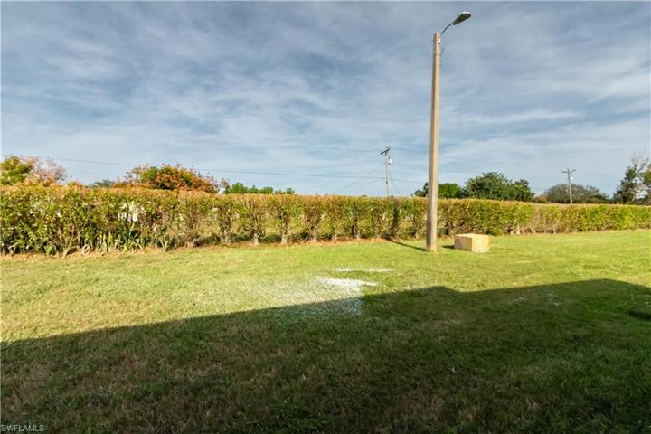 View of Backyard